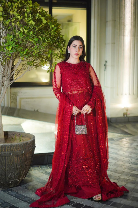 Aneelas Red Net Dress