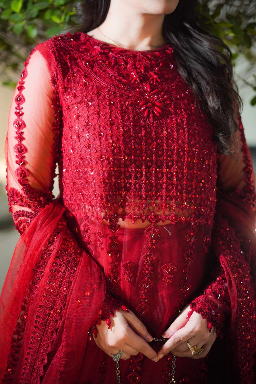 Aneelas Red Net Dress